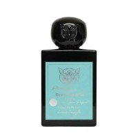 Lorenzo Pazzaglia - Green Island Lorenzo Pazzaglia - Green Island