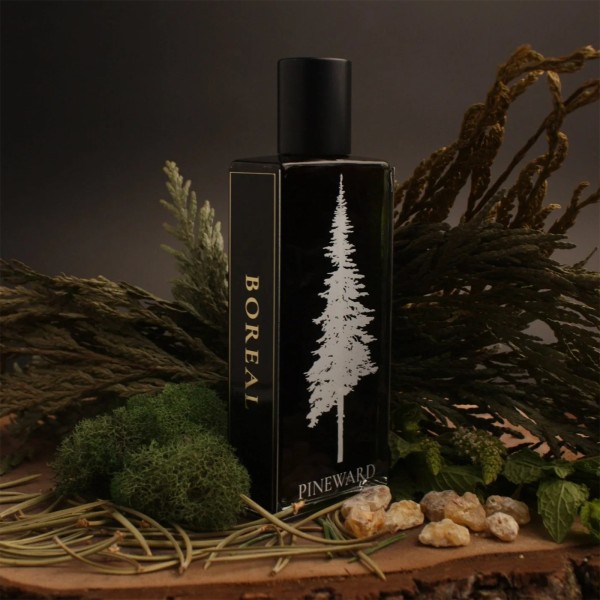 Pineward - Boreal